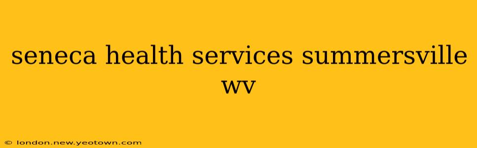 seneca health services summersville wv