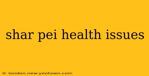 shar pei health issues
