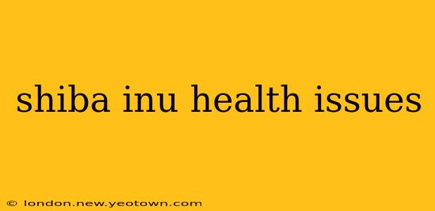shiba inu health issues