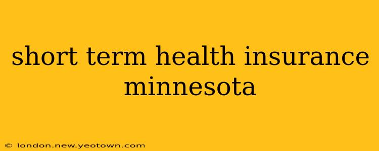 short term health insurance minnesota