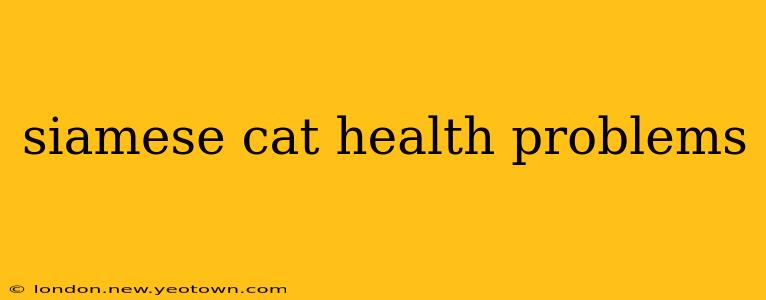 siamese cat health problems
