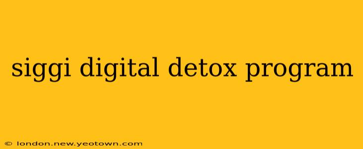 siggi digital detox program