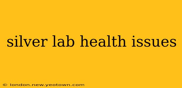 silver lab health issues