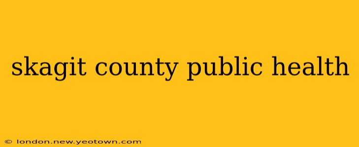 skagit county public health