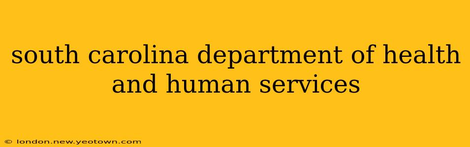 south carolina department of health and human services