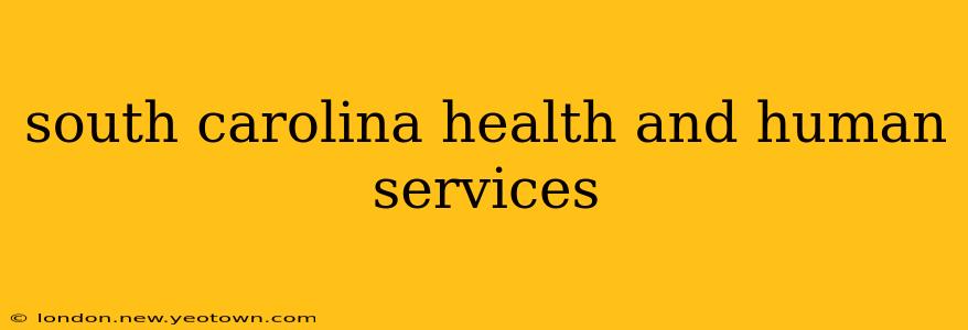 south carolina health and human services