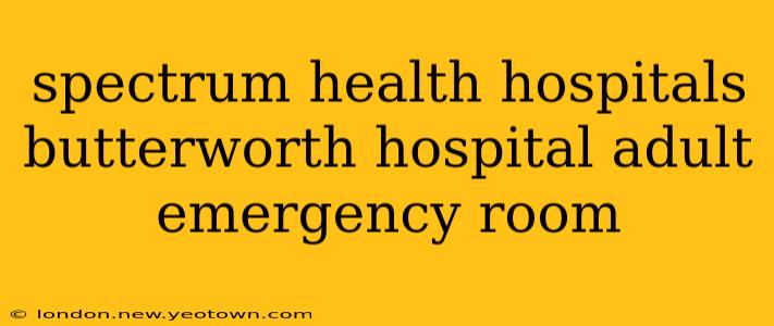 spectrum health hospitals butterworth hospital adult emergency room