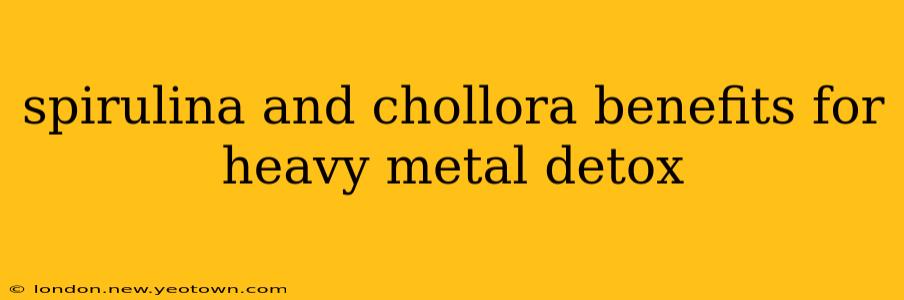 spirulina and chollora benefits for heavy metal detox