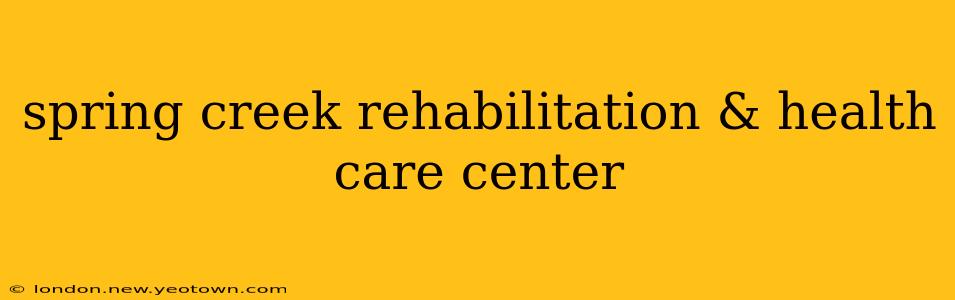 spring creek rehabilitation & health care center