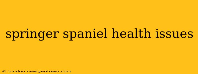 springer spaniel health issues