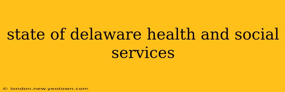 state of delaware health and social services