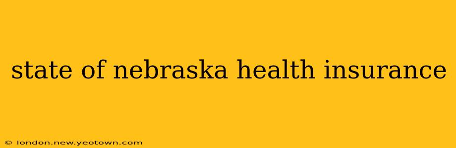 state of nebraska health insurance
