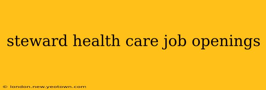 steward health care job openings