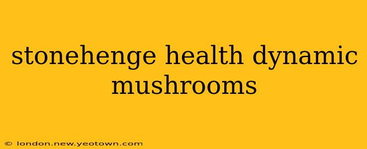 stonehenge health dynamic mushrooms
