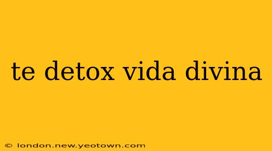 te detox vida divina