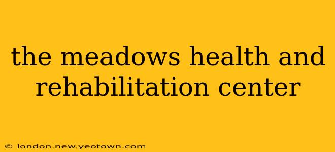 the meadows health and rehabilitation center