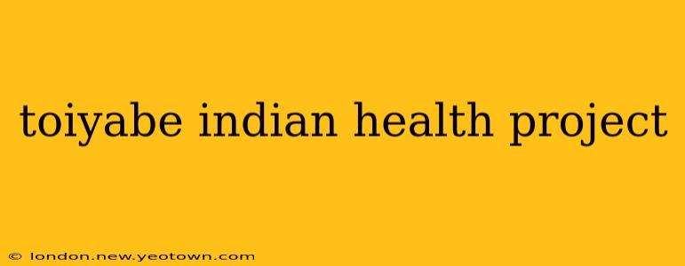 toiyabe indian health project