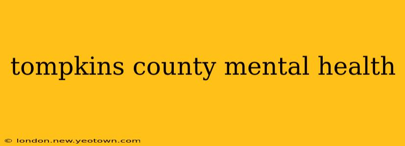 tompkins county mental health