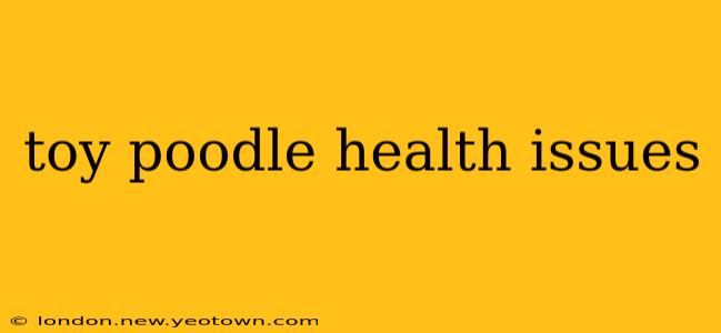 toy poodle health issues
