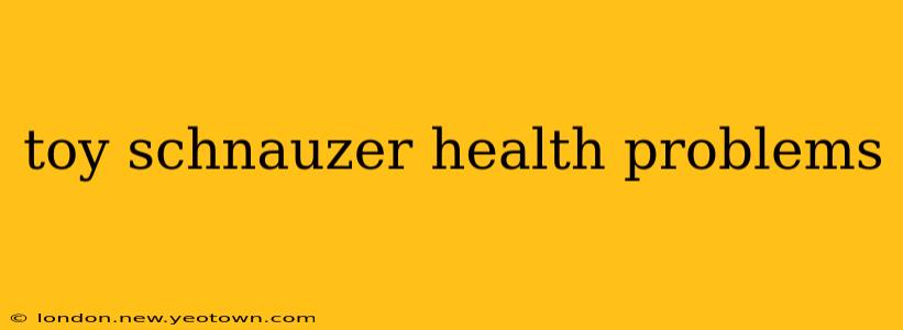 toy schnauzer health problems
