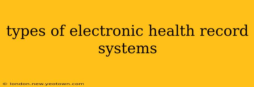 types of electronic health record systems