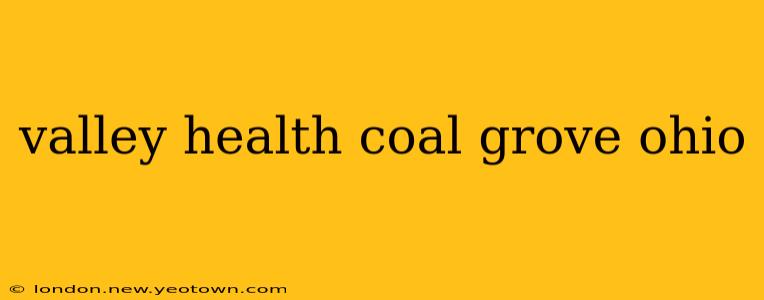 valley health coal grove ohio