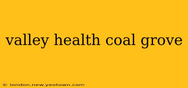 valley health coal grove