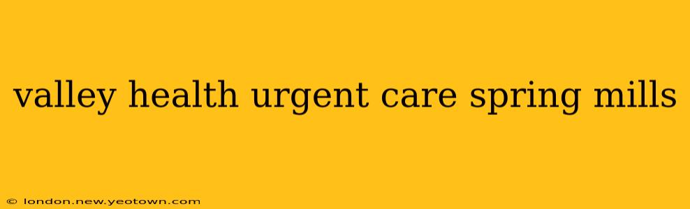 valley health urgent care spring mills