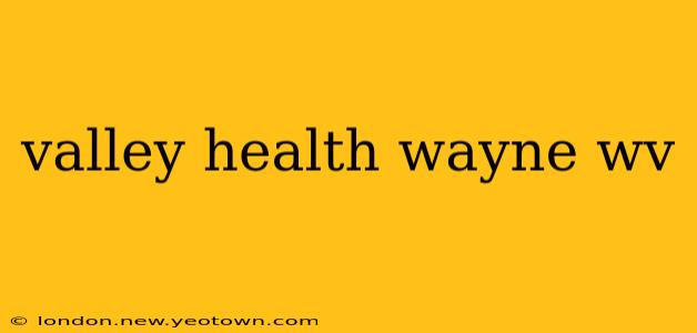 valley health wayne wv