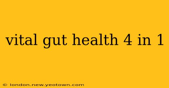 vital gut health 4 in 1