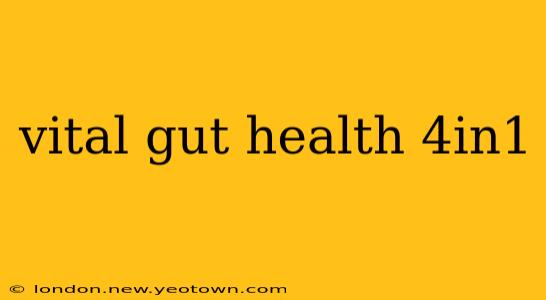 vital gut health 4in1