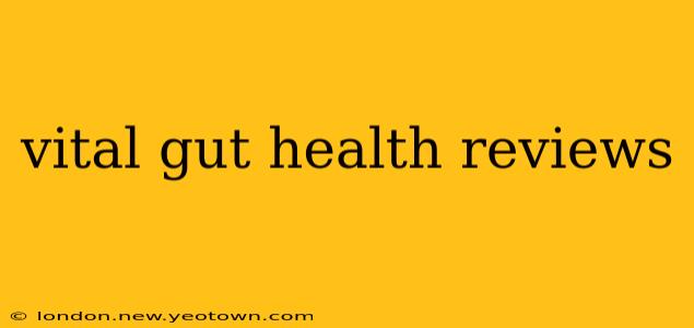 vital gut health reviews