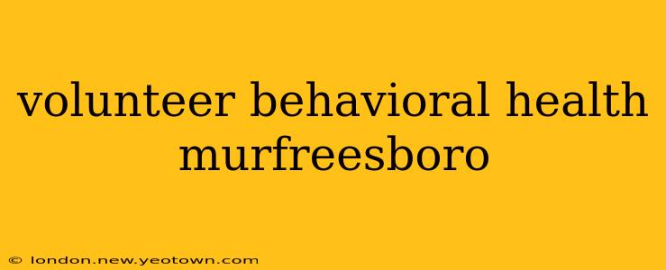 volunteer behavioral health murfreesboro