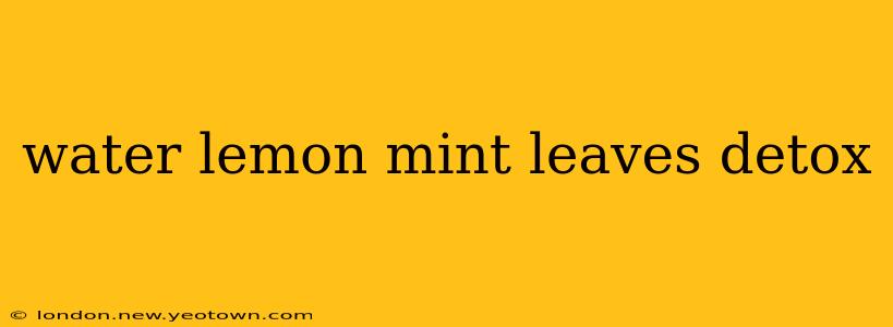 water lemon mint leaves detox