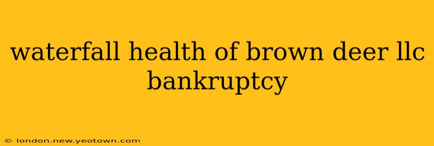 waterfall health of brown deer llc bankruptcy