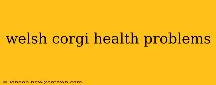 welsh corgi health problems