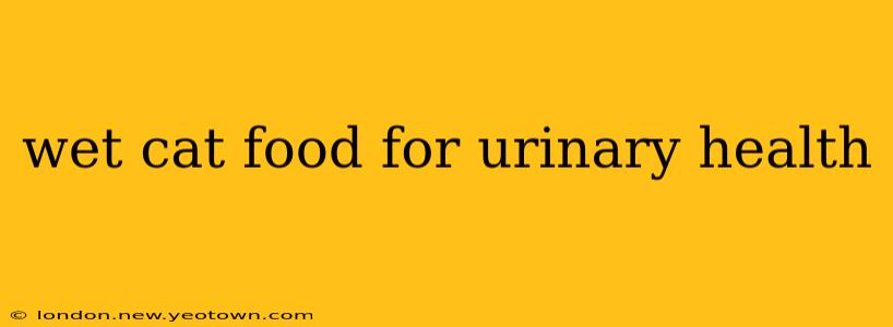wet cat food for urinary health