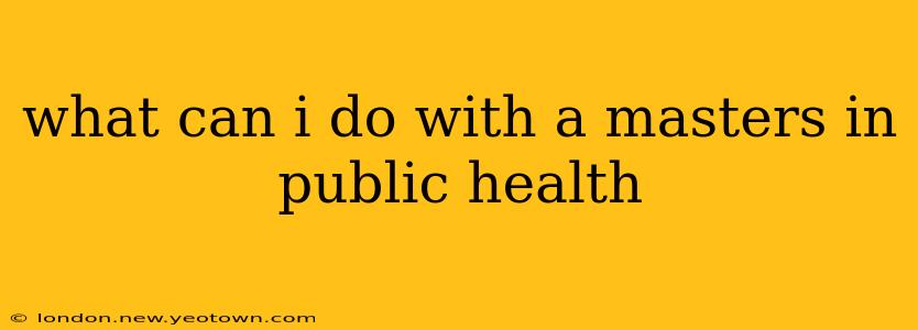what can i do with a masters in public health