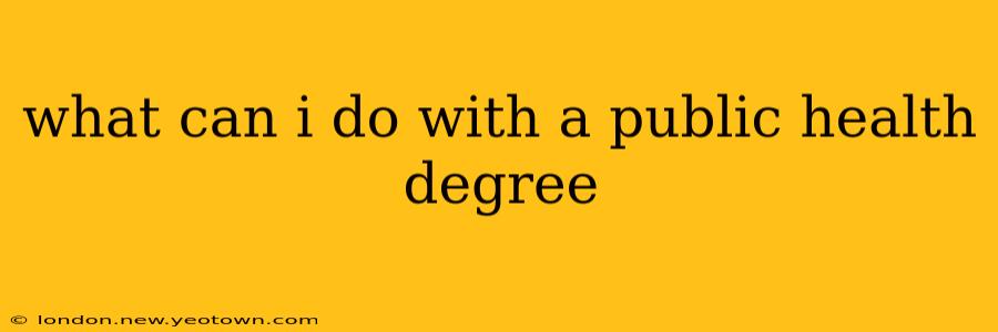 what can i do with a public health degree