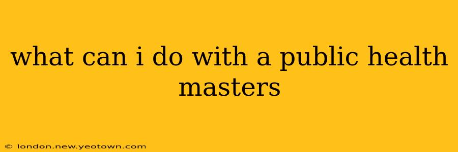 what can i do with a public health masters