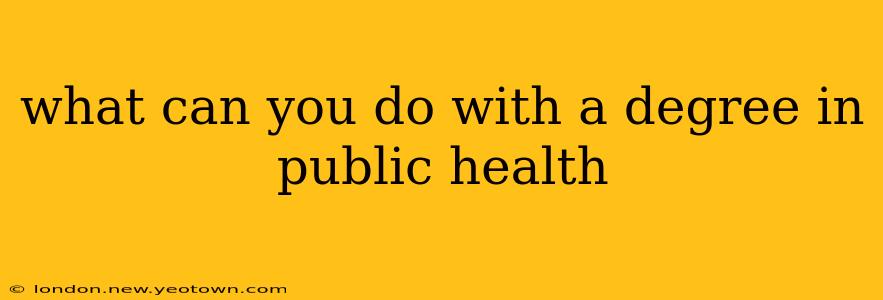 what can you do with a degree in public health