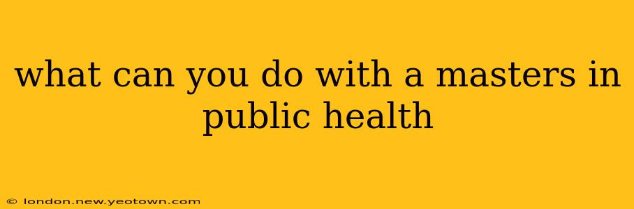 what can you do with a masters in public health