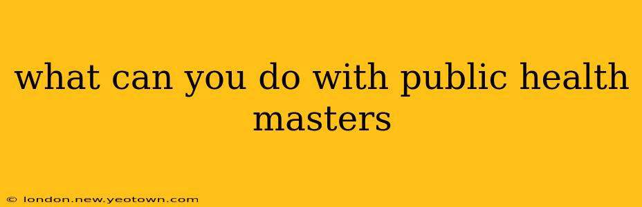 what can you do with public health masters