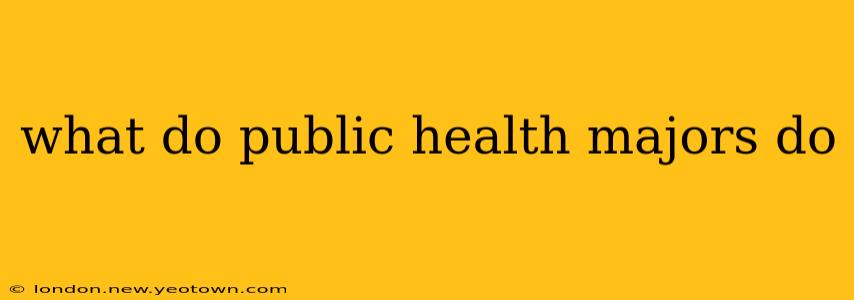 what do public health majors do