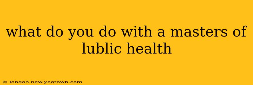 what do you do with a masters of lublic health