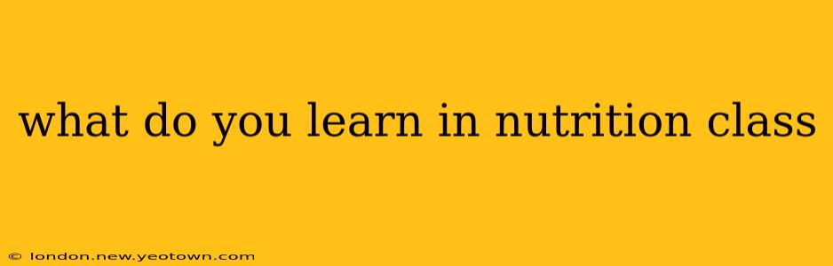 what do you learn in nutrition class