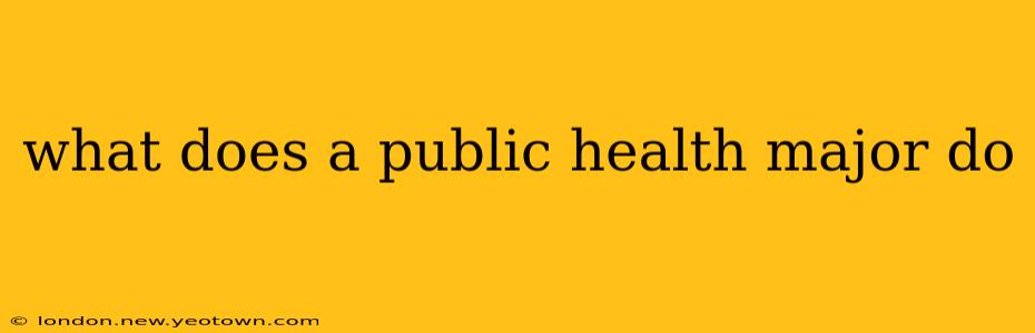 what does a public health major do
