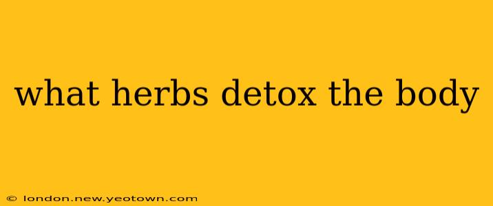 what herbs detox the body