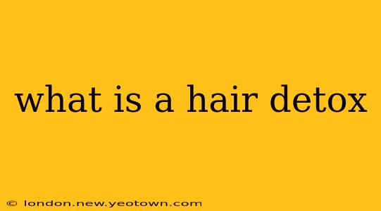 what is a hair detox