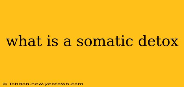what is a somatic detox